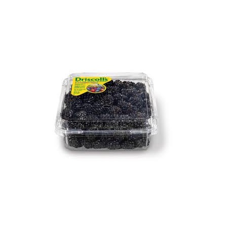 black-berries-driscoll