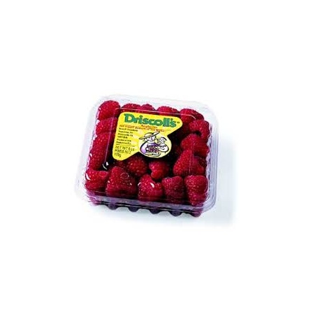 raspberry-driscoll