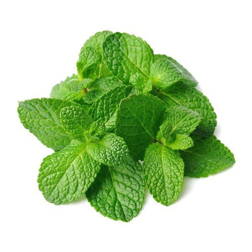 Mint Leaves – Bunch