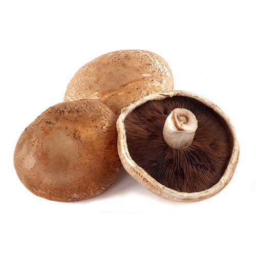 Portabella Mushroom – Kg