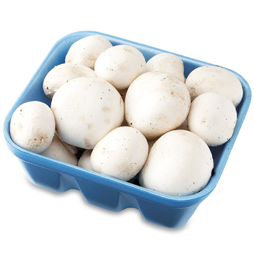 White Mushrooms 250 Grams – Pkt