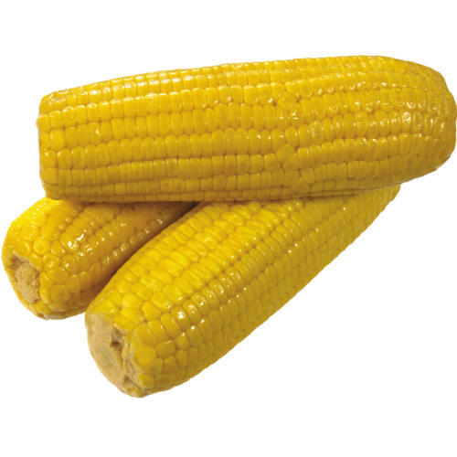 Yellow Corn PKT